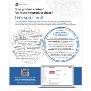 Flyer | Dot Data Services