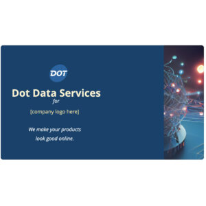 PowerPoint | Dot Data Services Pitch